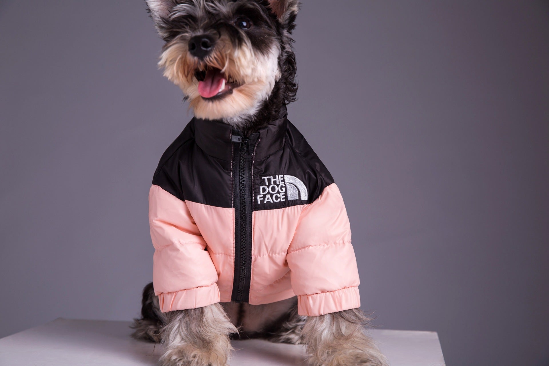 The pup hot sale face jacket